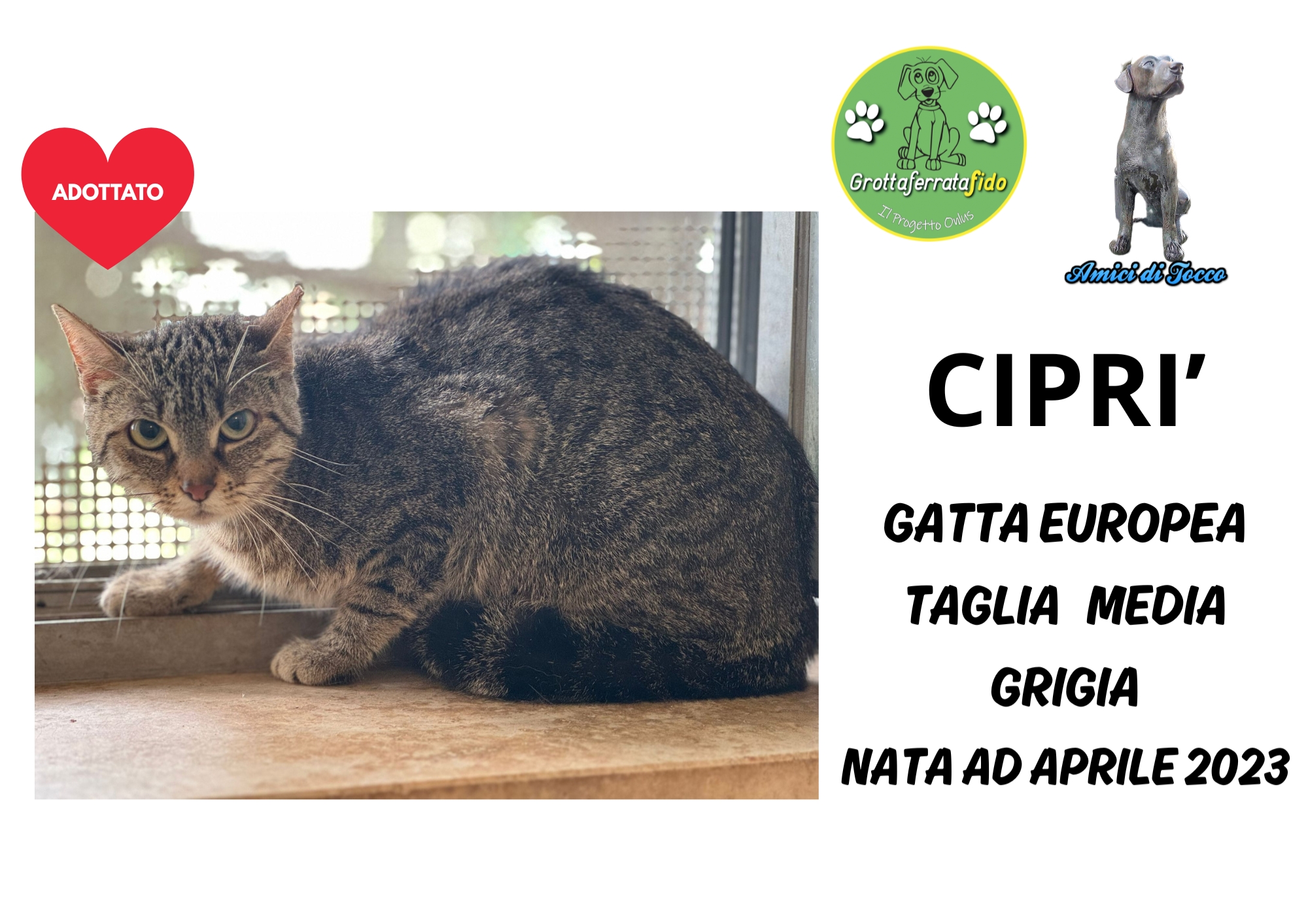 CIPRI_ADOTTATO
